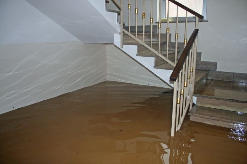 Basement Restoration Service in Santa Rosa, CA