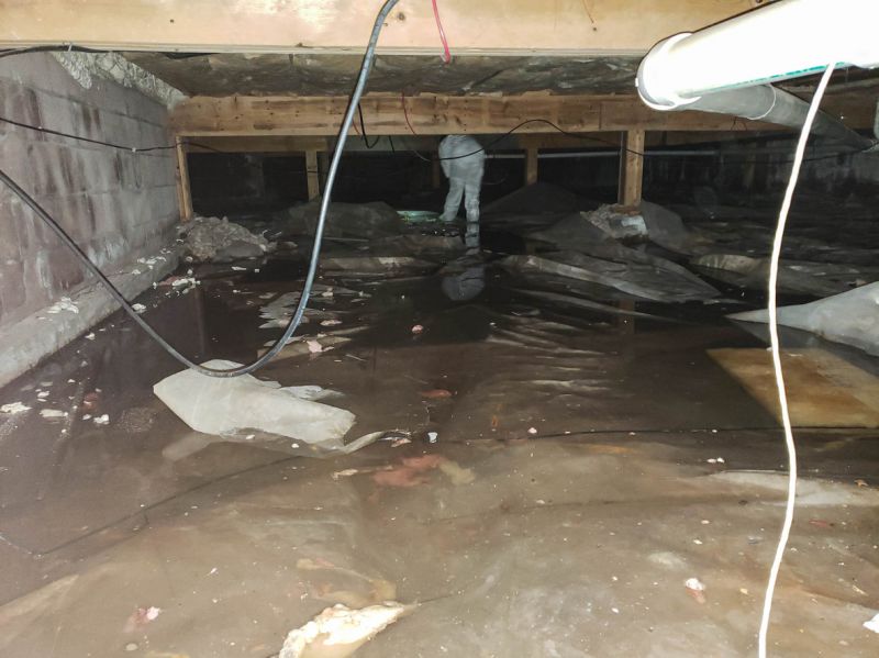 Basement Water Extraction in Phoenix, AZ