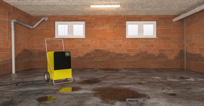 Basement Water Mitigation in Wilmington, NC
