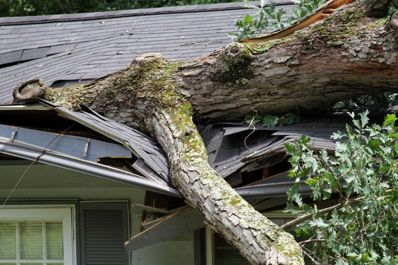 Storm Damage Cleanup in Wilmington, NC