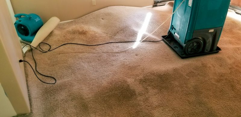 Wet Carpet Drying in Gilbert, AZ