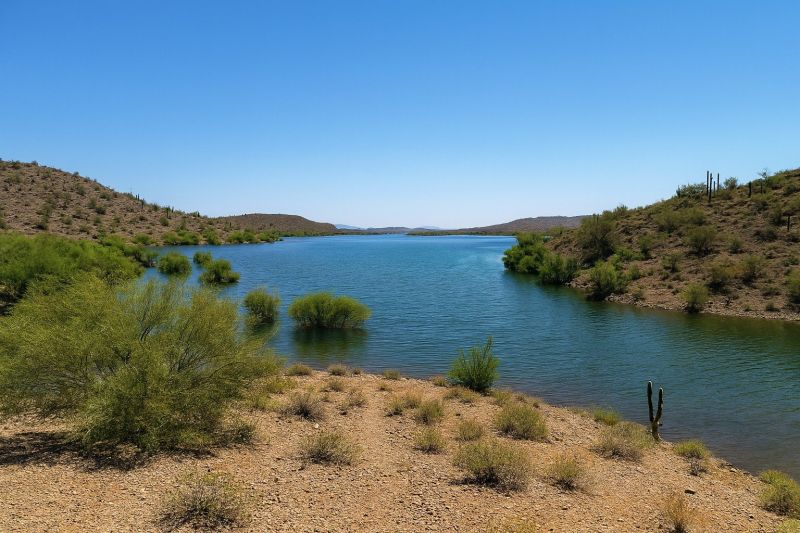 Local Basement Water Cleanup in New River, AZ