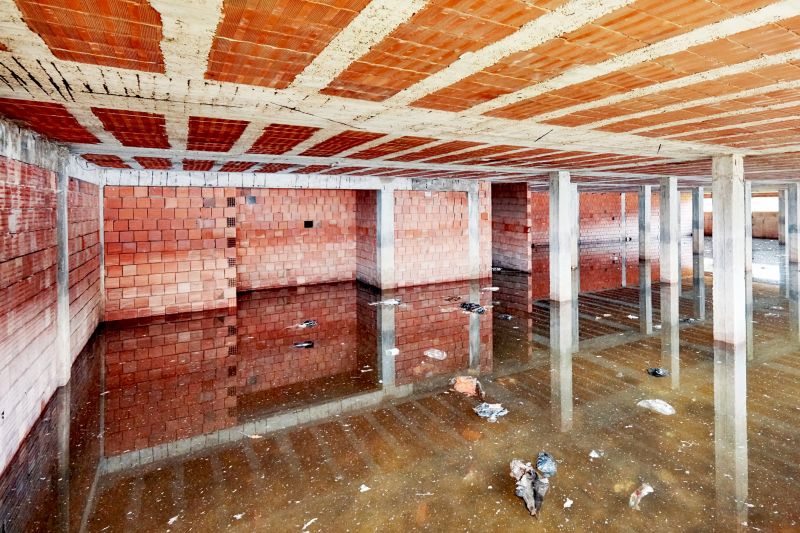 Crawl Space Water Remediation in Santa Rosa, CA