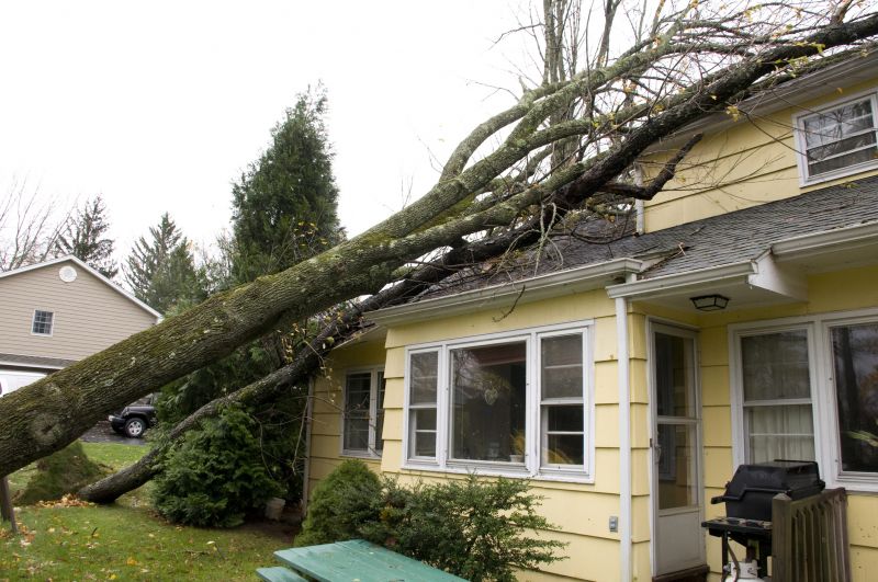 Property Damage Restoration in Overland Park, KS