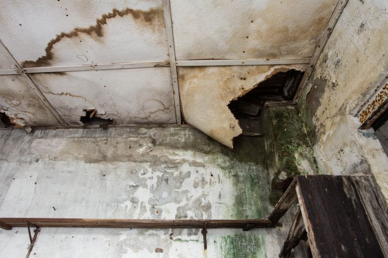 Water Damage Repair in Wilmington, NC