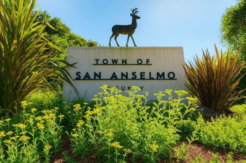 Local Water Extraction Service in San Anselmo, CA