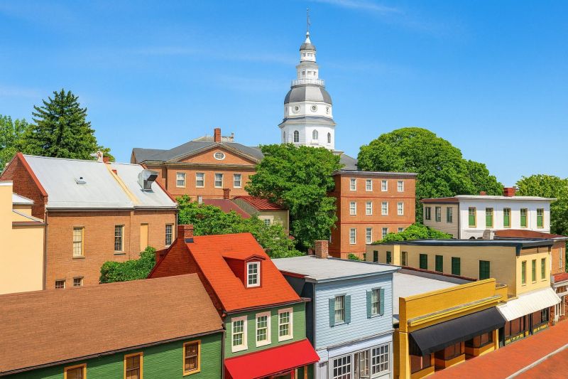 Local Wet Carpet Restoration in Odenton, MD